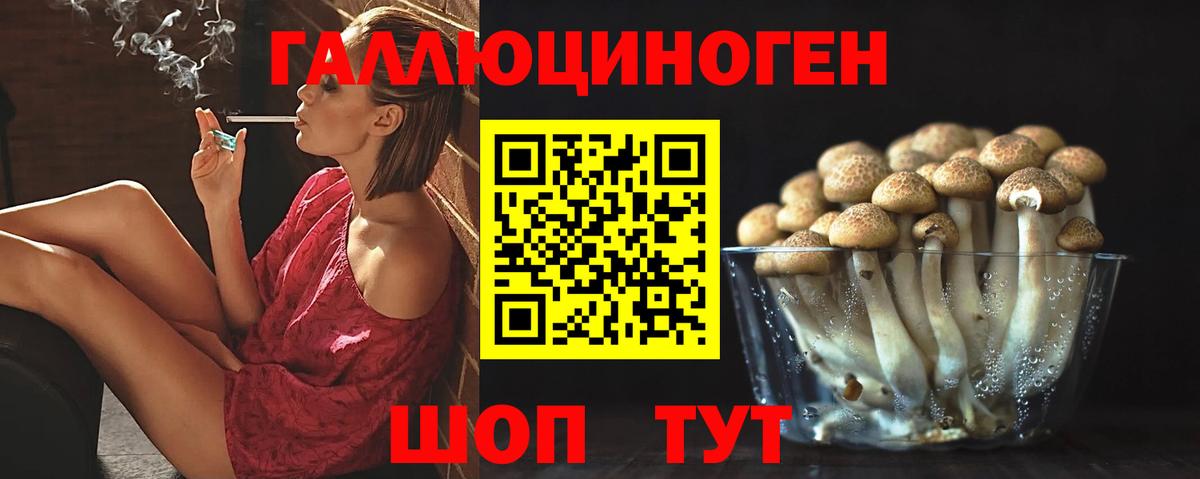 Ногинск  Псилоцибиновые грибы ЛСД  Вход с VPN 